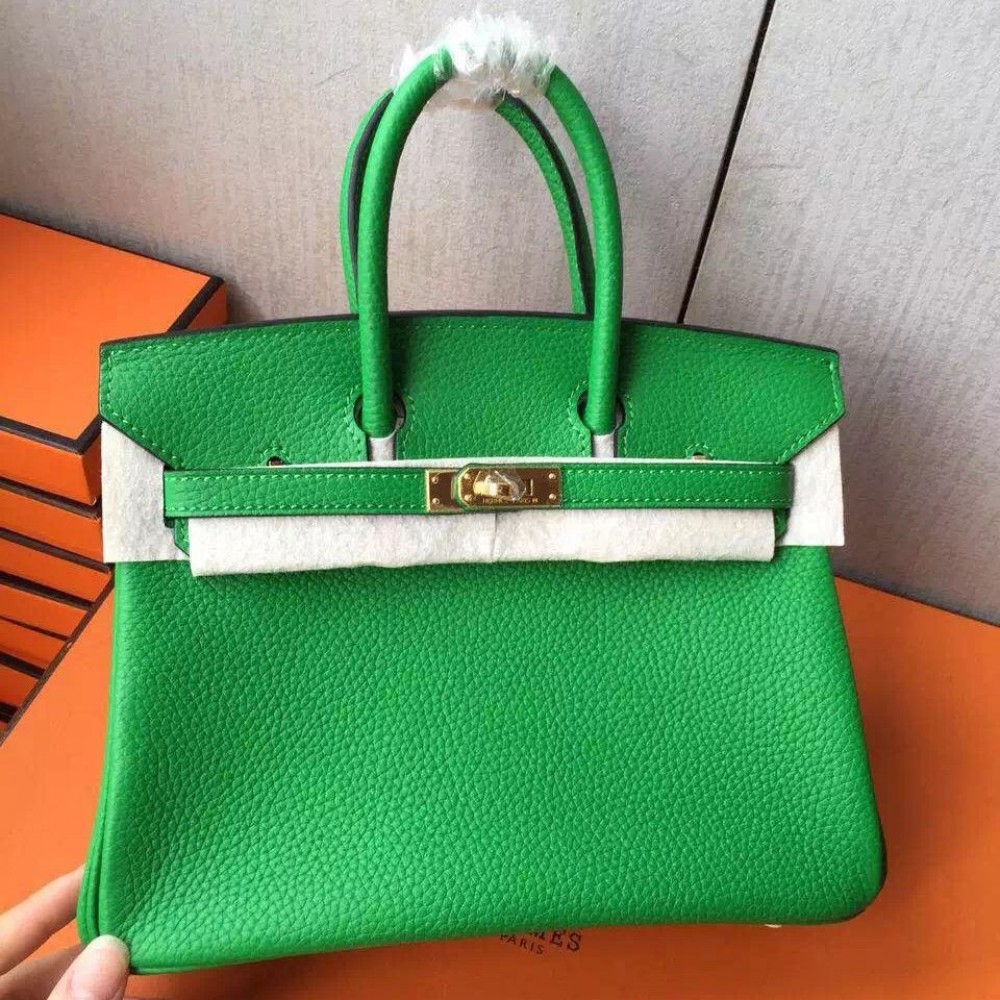 Hermes Birkin 25 Handmade Bag In Bambou Clemence Leather