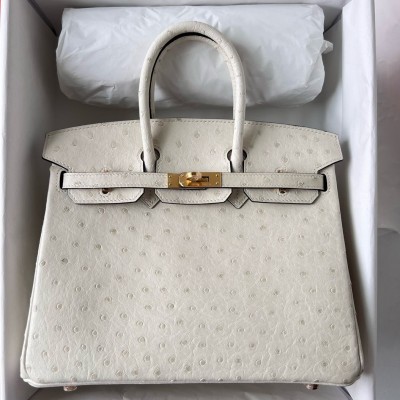 Hermes Birkin 25 Retourne Handmade Bag In Beton Ostrich Leather HSBS60128