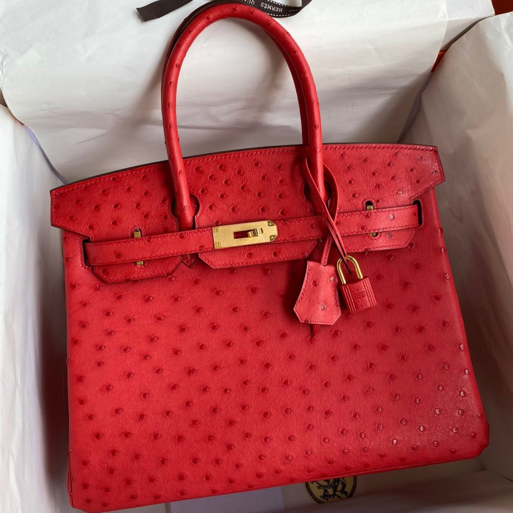 Hermes Birkin 30 Handmade Bag In Red Ostrich Skin